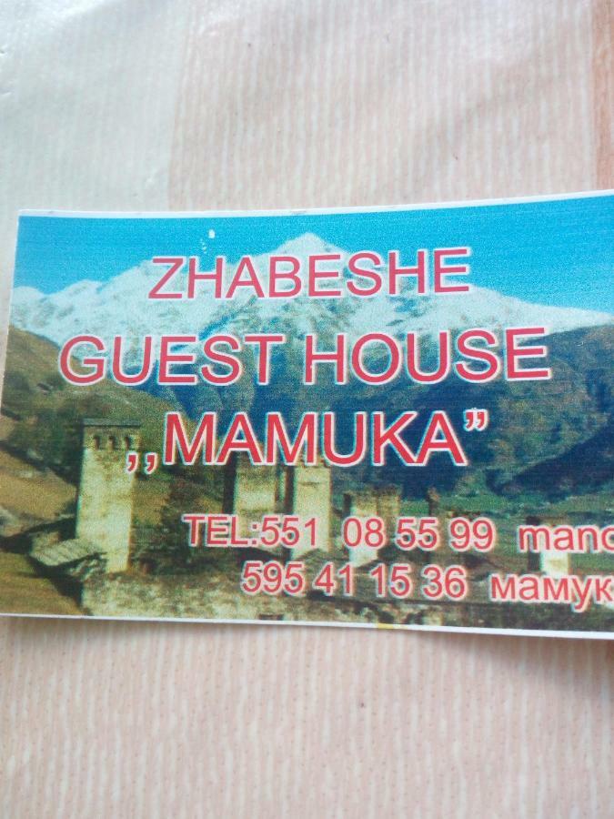 Guesthouse Mamuka Zhabesh Zhabeshi Eksteriør billede